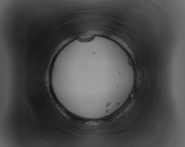 X0000100190898200806201252