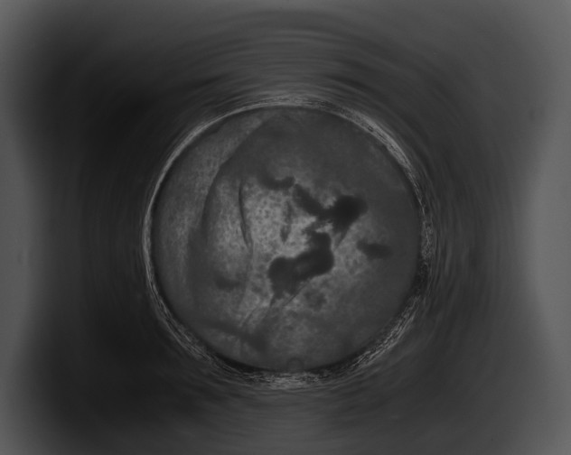 X0000100190899200806201252