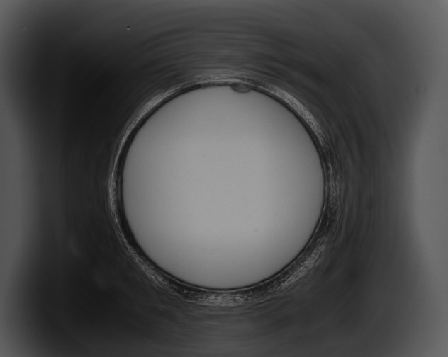 X0000100190901200806201252