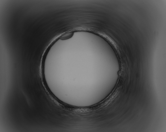 X0000100190902200806201252