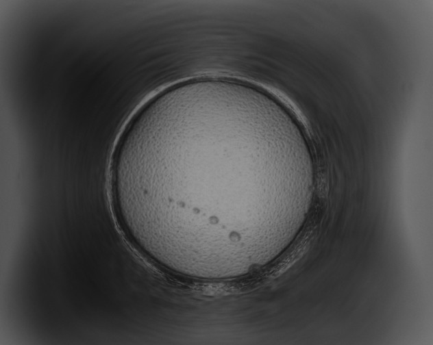 X0000100190903200806201252