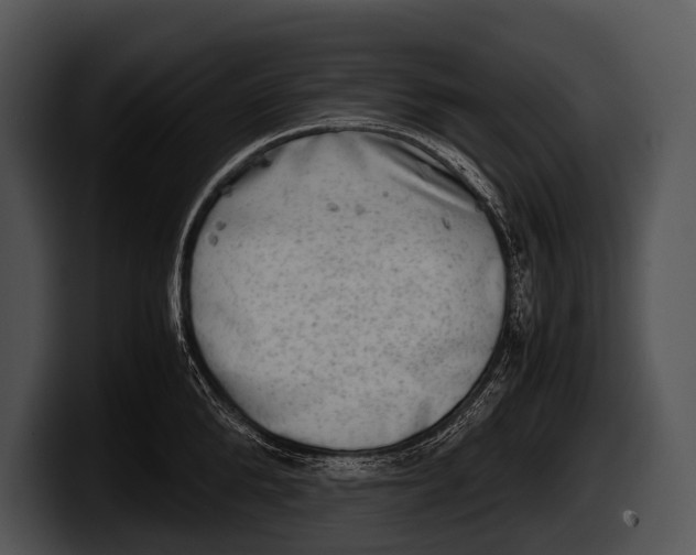 X0000100190904200806201252