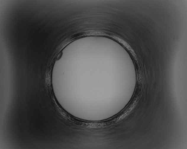 X0000100190905200806201252