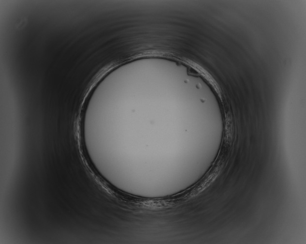 X0000100190906200806201252