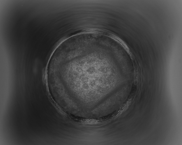 X0000100190907200806201252