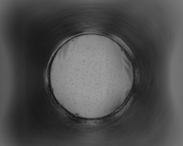 X0000100190908200806201252