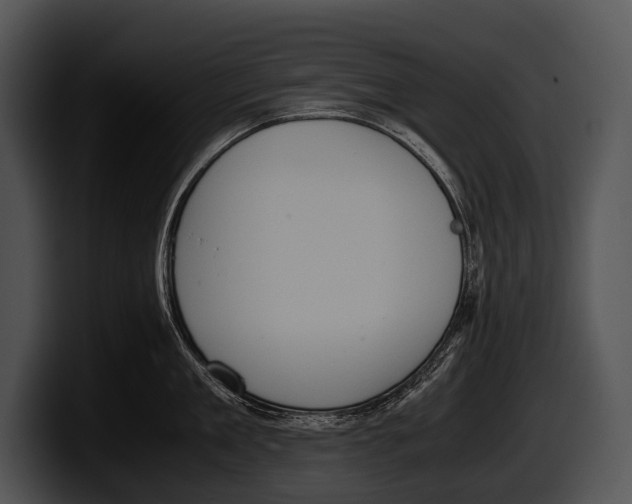 X0000100190909200806201252