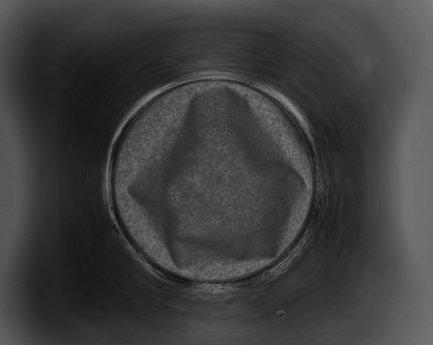 X0000100190910200806201252