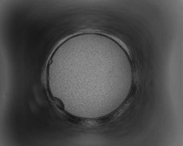 X0000100190911200806201252