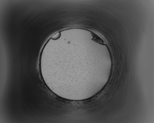 X0000100190912200806201252