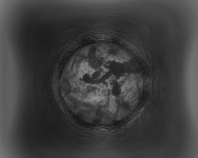 X0000100190913200806201251