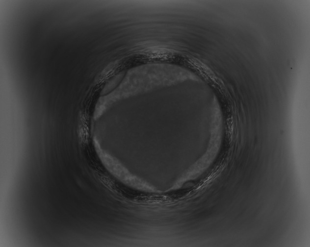 X0000100190916200806201251