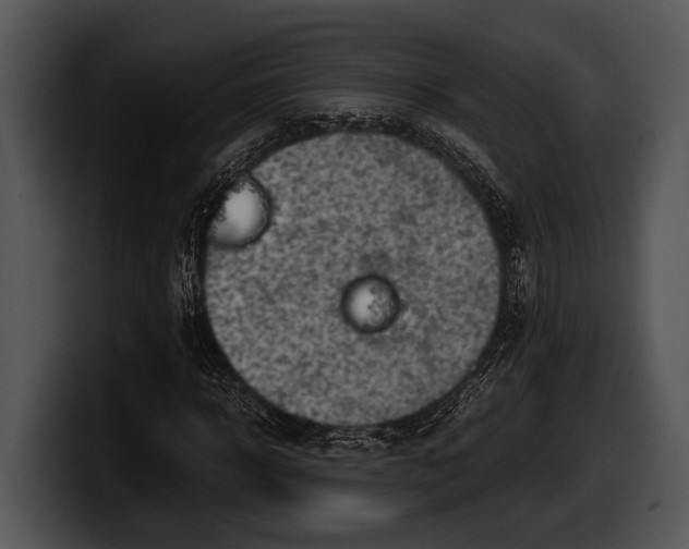 X0000100190918200806201251