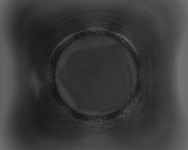 X0000100190919200806201251