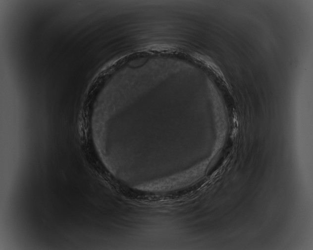 X0000100190920200806201251