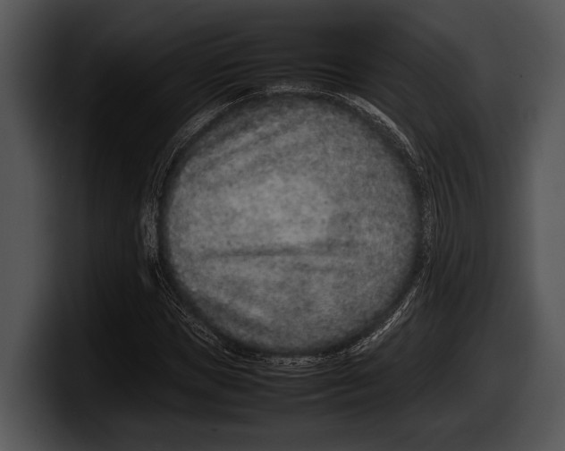 X0000100190921200806201251