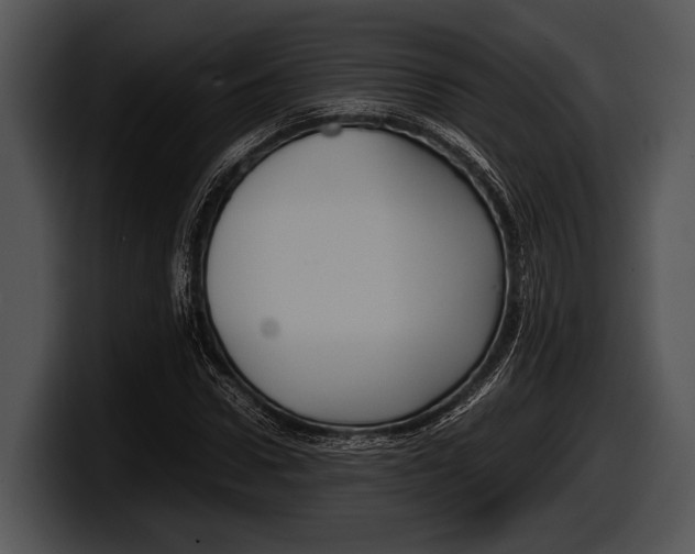 X0000100190922200806201251