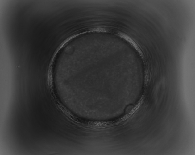 X0000100190923200806201251