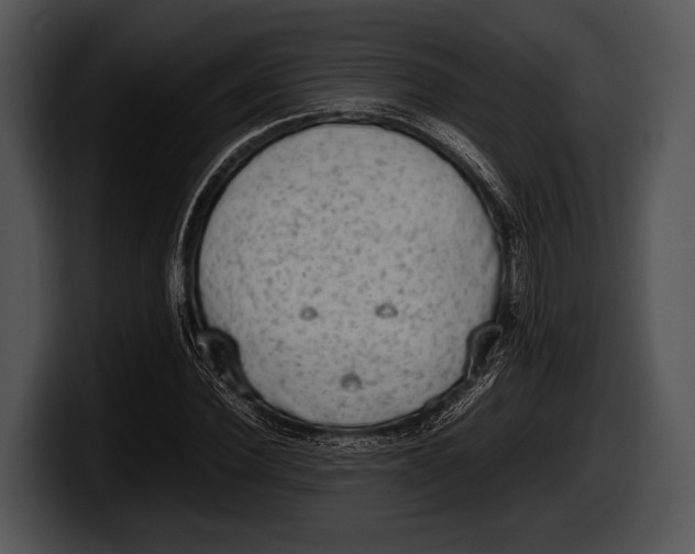 X0000100190924200806201251