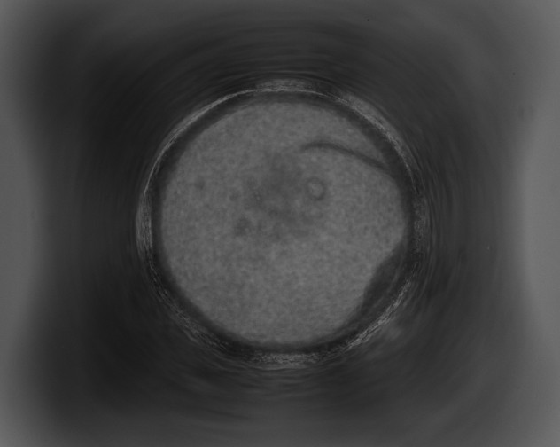 X0000100190925200806201251