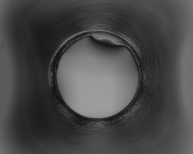 X0000100190926200806201251