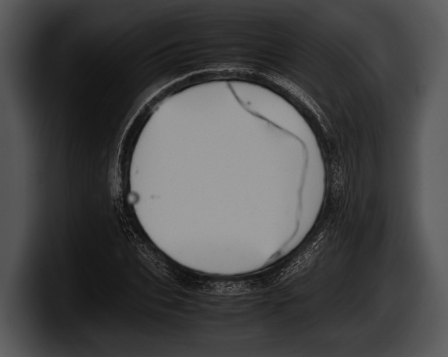 X0000100190927200806201251