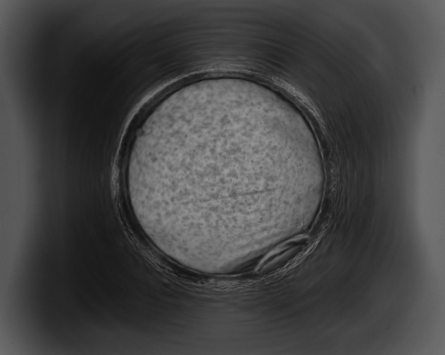 X0000100190928200806201251