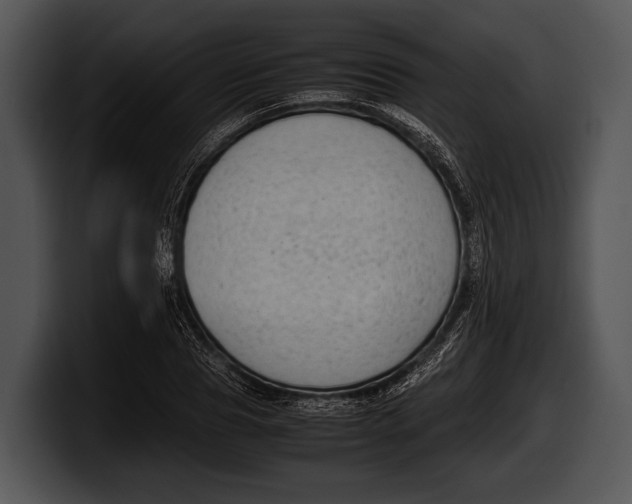 X0000100190929200806201251