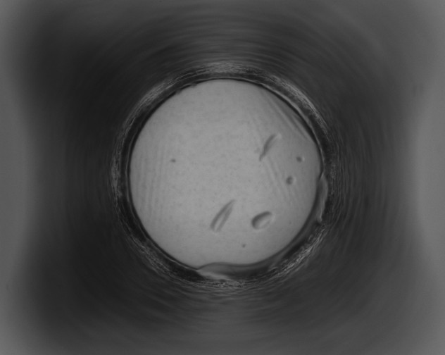 X0000100190930200806201251