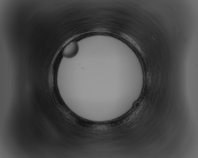 X0000100190931200806201251