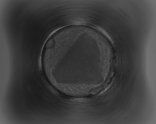 X0000100190932200806201251