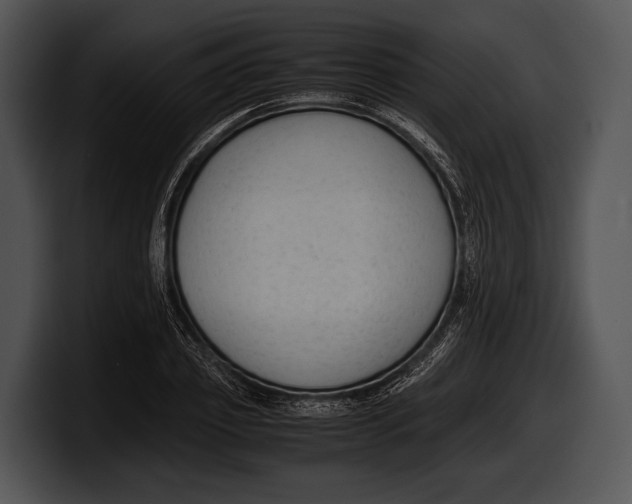 X0000100190933200806201251