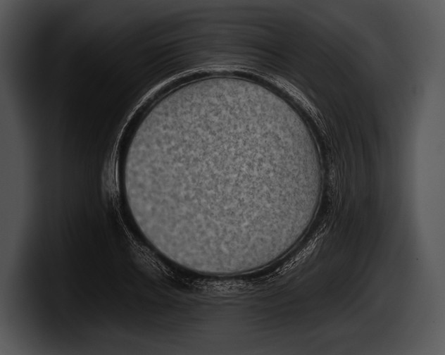 X0000100190934200806201251