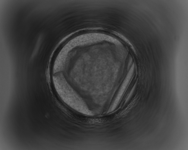 X0000100190935200806201251