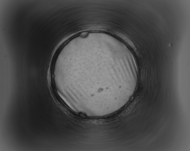 X0000100190936200806201251