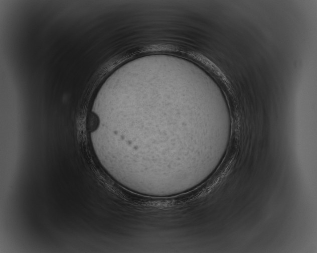 X0000100190937200806201251