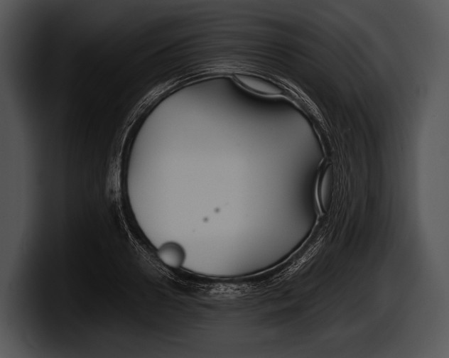 X0000100190938200806201251