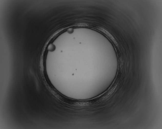 X0000100190939200806201251