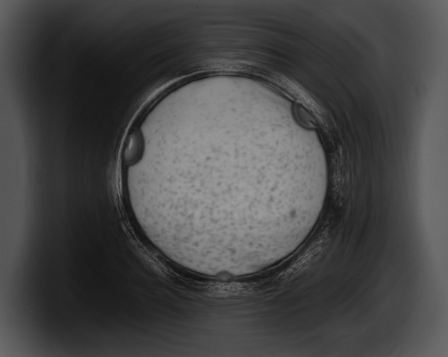 X0000100190940200806201251