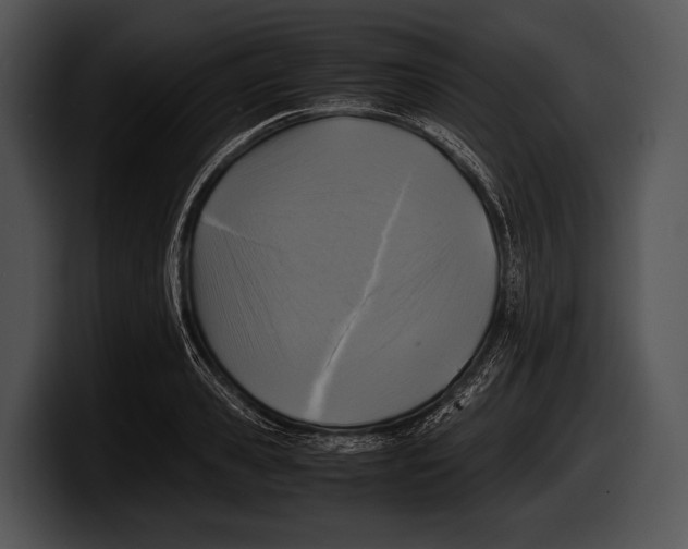 X0000100190941200806201251