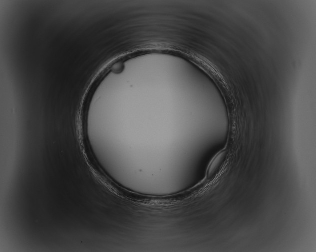 X0000100190942200806201251