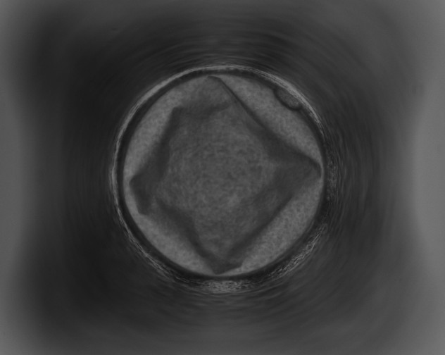 X0000100190943200806201251