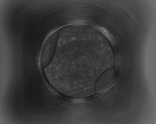 X0000100190944200806201252