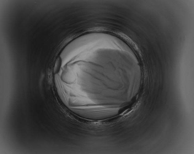 X0000100190945200806201252