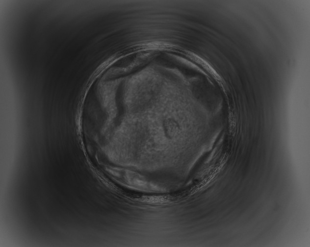 X0000100190946200806201252