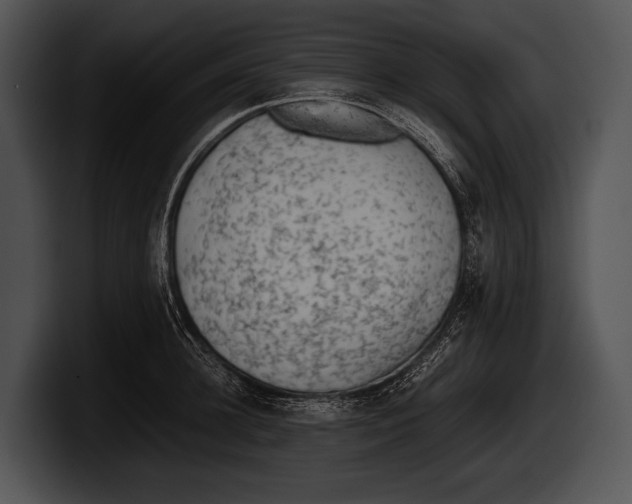 X0000100190948200806201252