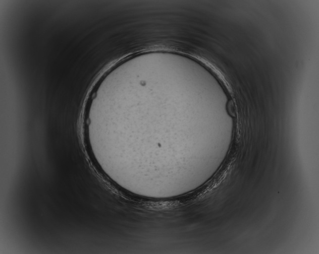 X0000100190949200806201252