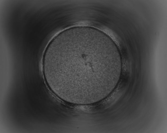 X0000100190950200806201252