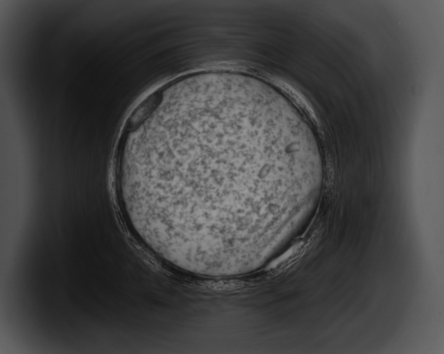 X0000100190952200806201252