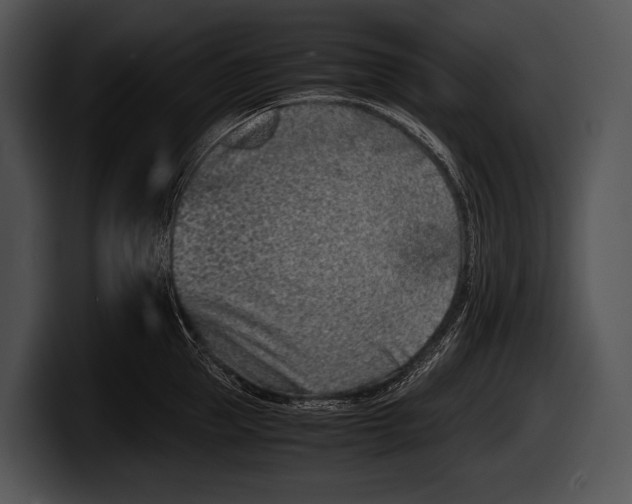 X0000100190953200806201252